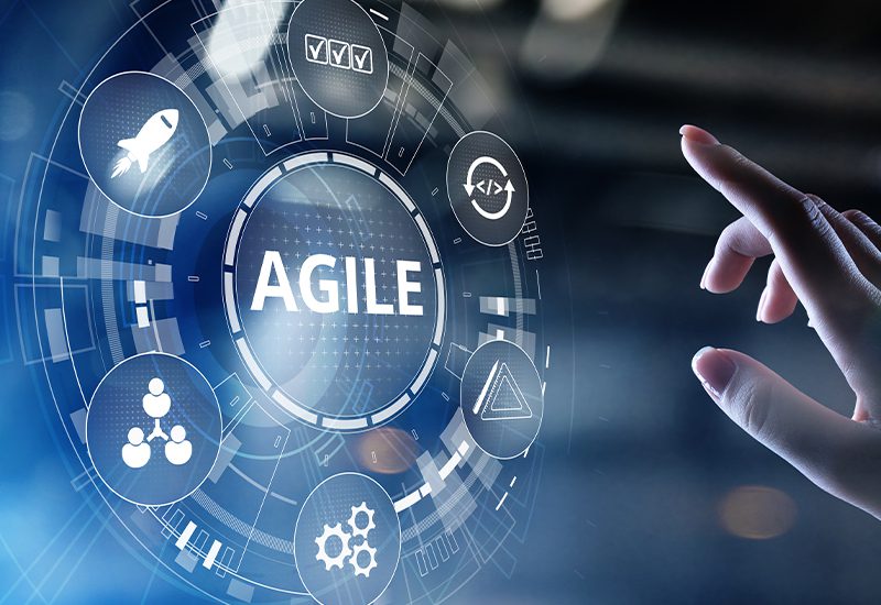 Crucial Role of Business Analysts in Agile