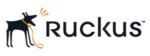 RUCKUS-logo-300x113 Ruckus Logo